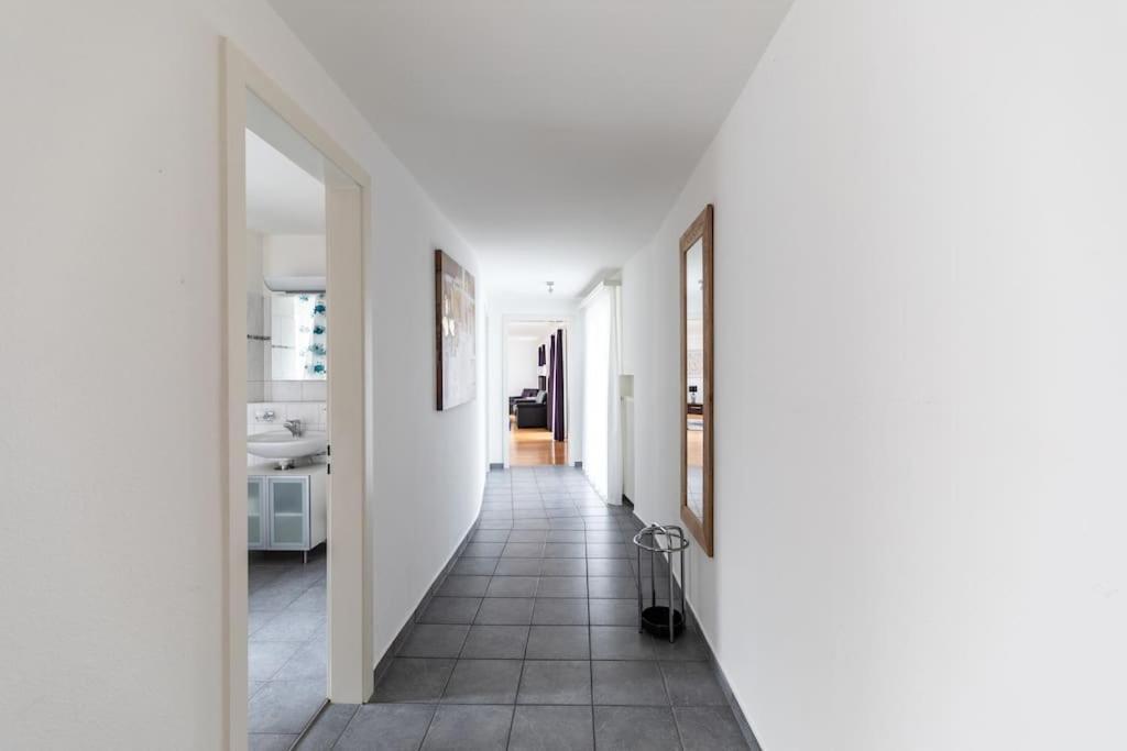 And Big 1 Bedroom Flat Center/near * Zürich